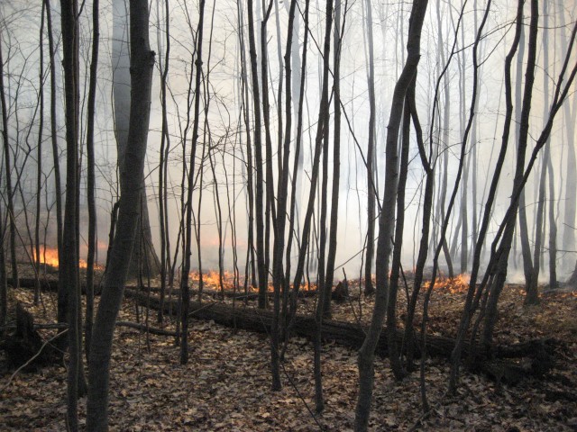 Brush Fire Turkey Mountain Yorktown Heights